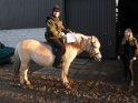 Mærkeprøver Forår 2017