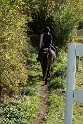 DSC04793