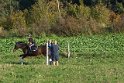 DSC07655
